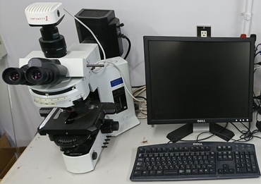 量子線生体材料工学領域 佐藤研究室 量子線生体材料工学領域 佐藤研究室