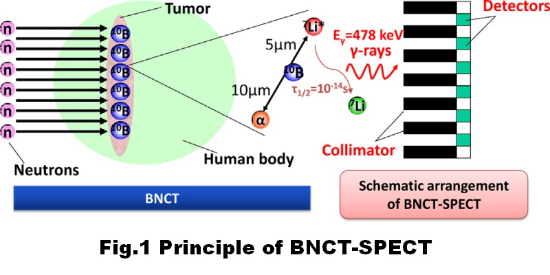 BNCT-SPECTの原理