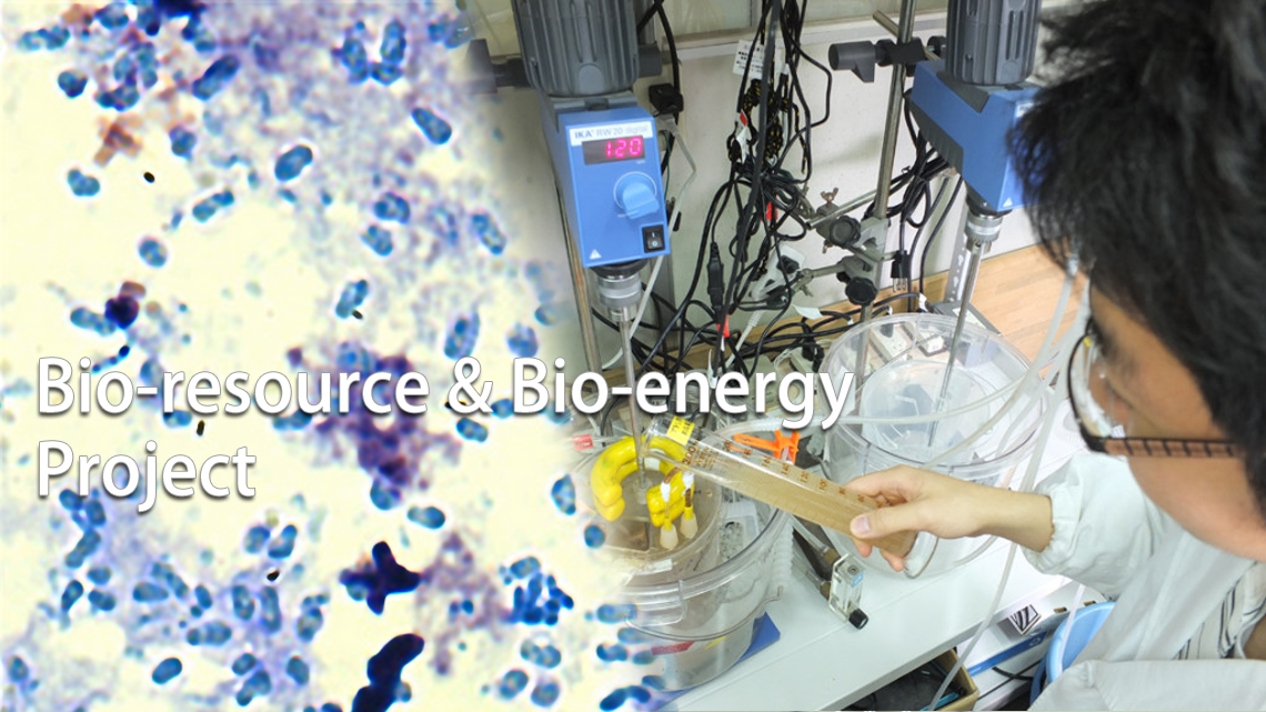 bioenergy_logo_